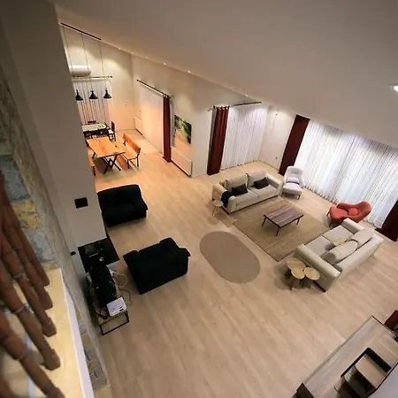 Vila Queen Palm *
