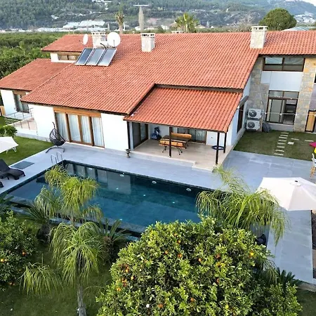 Vila Queen Palm